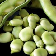 Les bienfaits des fèves