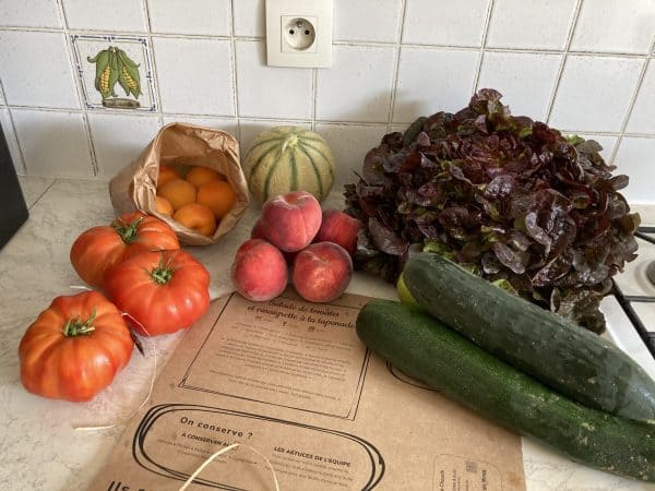 Voici le contenu de ma box Potager City