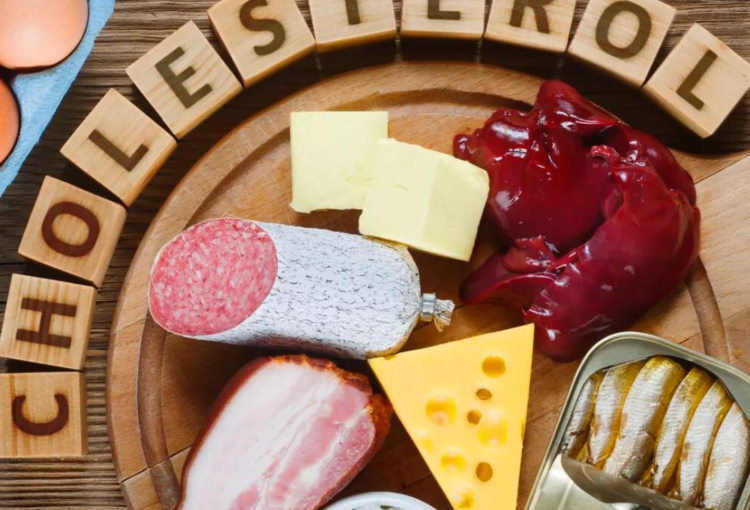Zoom sur le cholestérol