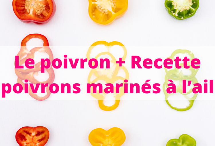 Le poivron + Recette poivrons marinés à l’ail